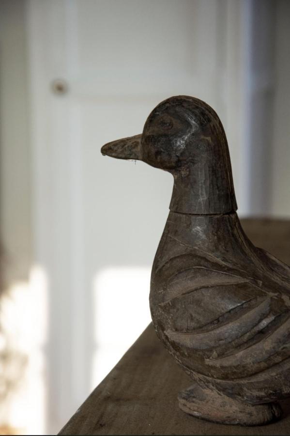 Le Roi Des Oiseaux - Gite A La Campagne Montcavrel Exterior foto